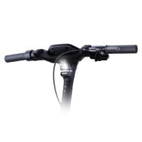 Segway Ninebot P65D - 2.Wahl - 299km Laufleistung