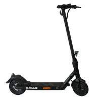 Trittbrett Kalle V2 - Version 2022